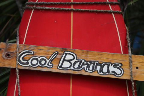 Cool Bananas Backpackers - Kempsey Accommodation 41