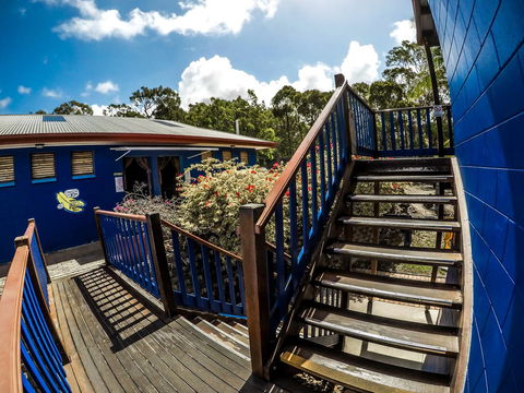 Cool Bananas Backpackers - Kempsey Accommodation 27