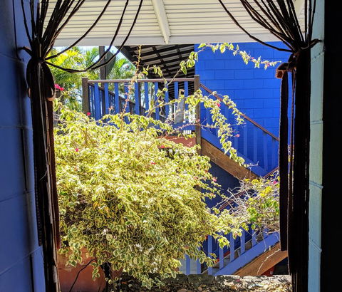 Cool Bananas Backpackers - Kempsey Accommodation 10
