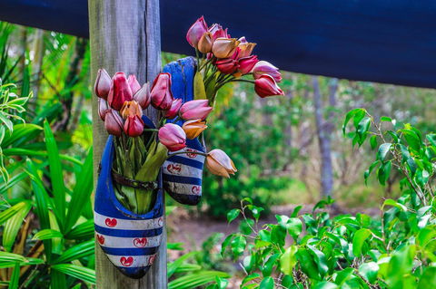 Cool Bananas Backpackers - Kempsey Accommodation 26