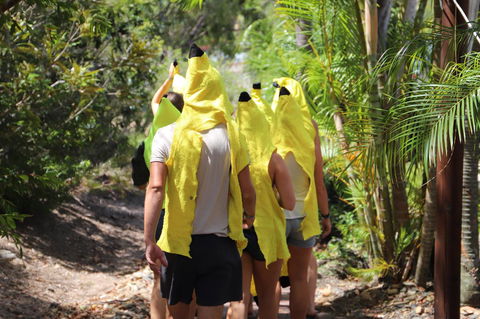 Cool Bananas Backpackers - Kempsey Accommodation 19
