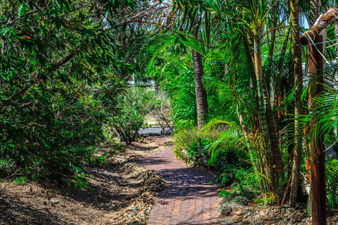 Cool Bananas Backpackers - Kempsey Accommodation 15