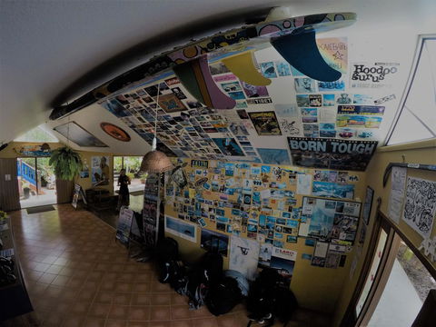 Cool Bananas Backpackers - Kempsey Accommodation 31