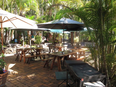 Cool Bananas Backpackers - Kempsey Accommodation 16
