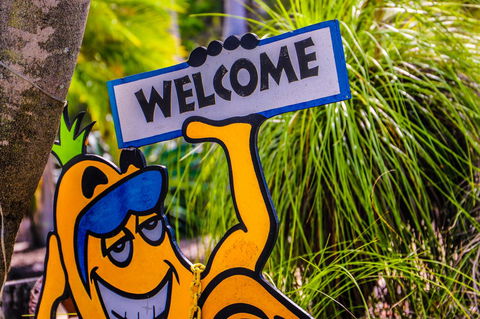 Cool Bananas Backpackers - Kempsey Accommodation 37
