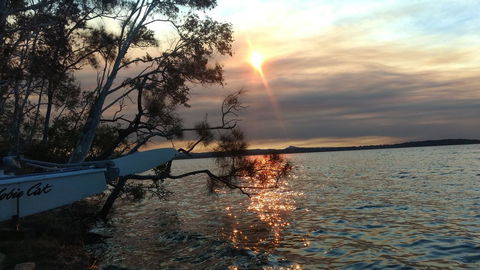 Lake Weyba Noosa Lodge & Kangaroos - Kempsey Accommodation 40