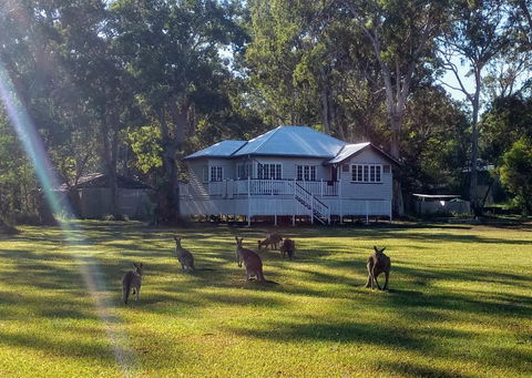 Lake Weyba Noosa Lodge & Kangaroos - Kempsey Accommodation 0