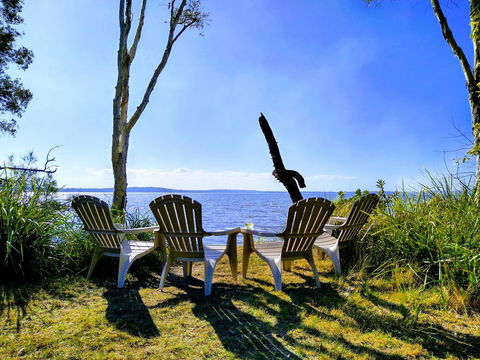 Lake Weyba Noosa Lodge & Kangaroos - Kempsey Accommodation 44