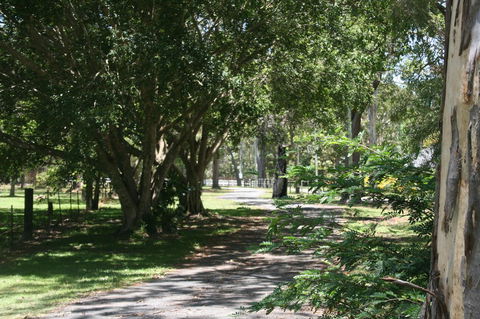 Lake Weyba Noosa Lodge & Kangaroos - Kempsey Accommodation 34