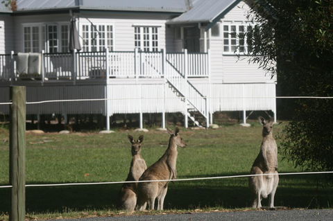 Lake Weyba Noosa Lodge & Kangaroos - Kempsey Accommodation 28