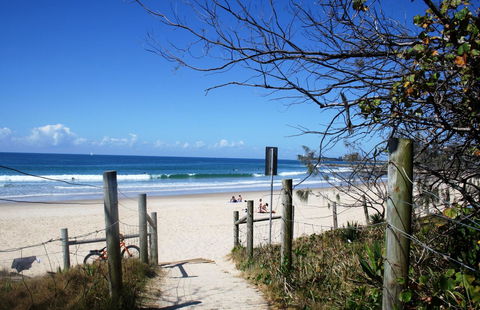 Alex Beach Cabins And Tourist Park - Kempsey Accommodation 13