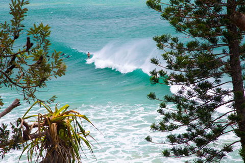 Rainbow Bay Backpackers - Kempsey Accommodation 15