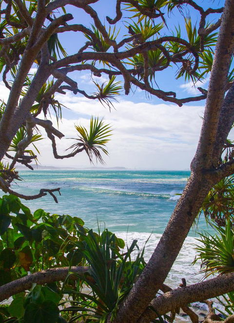 Rainbow Bay Backpackers - Kempsey Accommodation 26