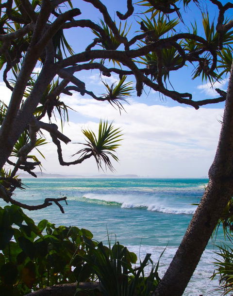 Rainbow Bay Backpackers - Kempsey Accommodation 25
