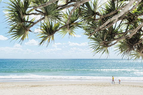 Netanya Noosa Beachfront Resort - Kempsey Accommodation 38
