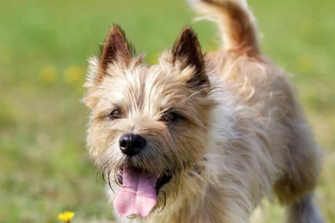 Sunrise Haven - Kempsey Accommodation 1