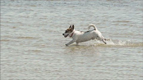 Sunrise Haven - Kempsey Accommodation 8