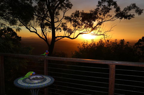 The Polish Place - Kempsey Accommodation 17