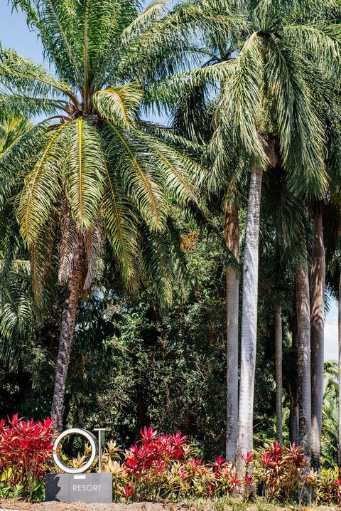 Oaks Port Douglas Resort - Kempsey Accommodation 40