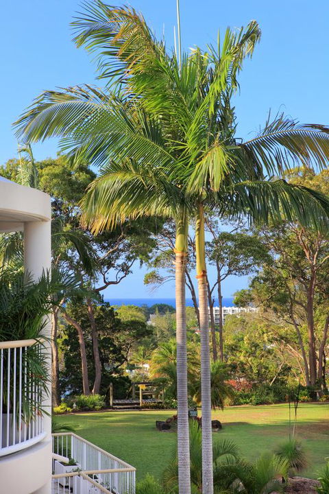 Serenity Apartments Noosa - Kempsey Accommodation 14