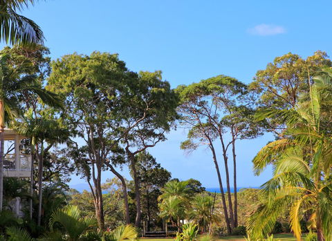 Serenity Apartments Noosa - Kempsey Accommodation 26