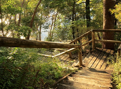 Serenity Apartments Noosa - Kempsey Accommodation 2