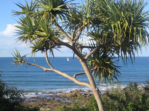 Headland Tropicana Resort - Kempsey Accommodation 39
