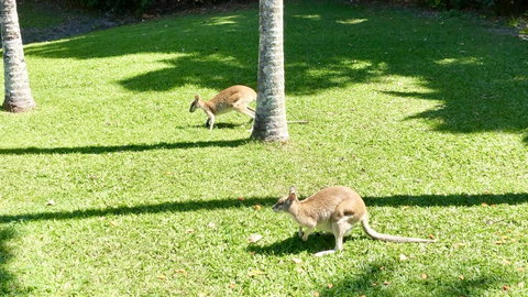 Argosy On The Beach - Kempsey Accommodation 15