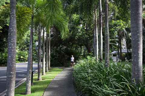 Oasis At Palm Cove - Kempsey Accommodation 4