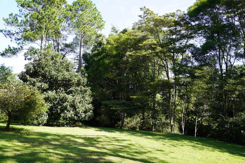 McCarthy Grove Maleny - Kempsey Accommodation 2