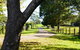 McCarthy Grove Maleny - thumb 3