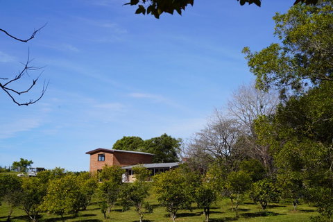 McCarthy Grove Maleny - Kempsey Accommodation 4
