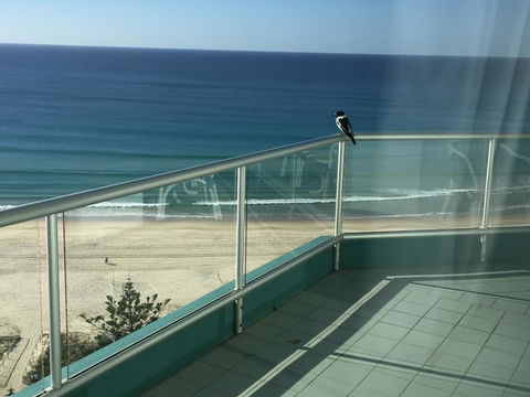 Ocean Plaza Resort - Kempsey Accommodation 28