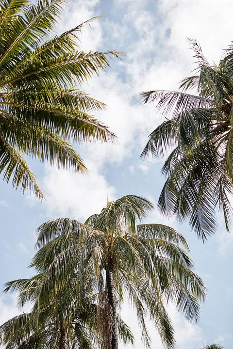 Novotel Cairns Oasis Resort - Kempsey Accommodation 9