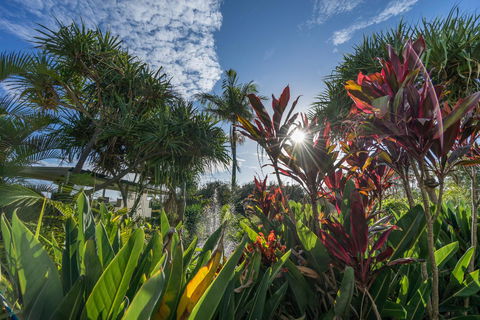 Currumbin Sands On The Beach - Kempsey Accommodation 9