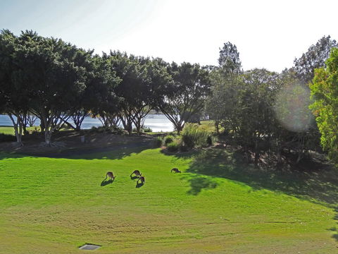 Waterfront Resort Villa With Buggy - Kempsey Accommodation 32
