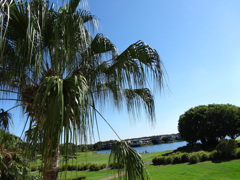 Waterfront Resort Villa With Buggy - Kempsey Accommodation 33