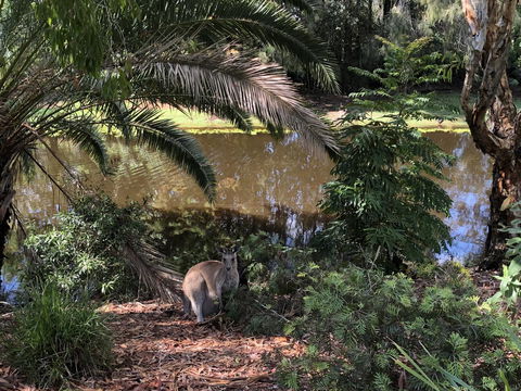 Waterfront Resort Villa With Buggy - Kempsey Accommodation 25