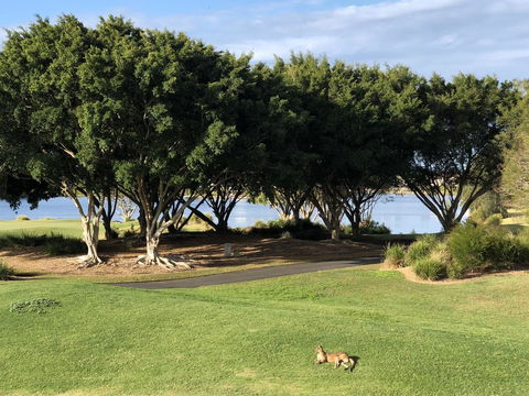 Waterfront Resort Villa With Buggy - Kempsey Accommodation 21
