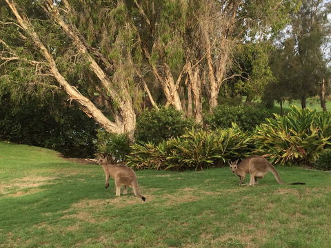 Waterfront Resort Villa With Buggy - Kempsey Accommodation 19
