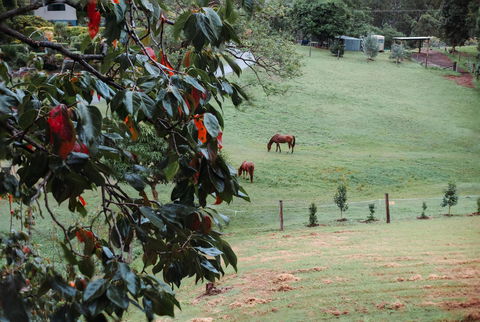La Casita Banca - Luxury Holiday Home - Kempsey Accommodation 3