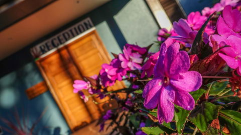 Blue Summit Hideaway - Kempsey Accommodation 33