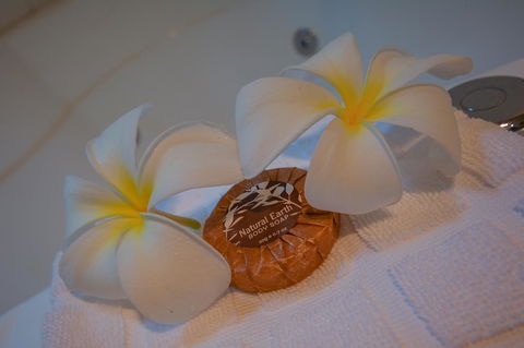 Blue Summit Hideaway - Kempsey Accommodation 21
