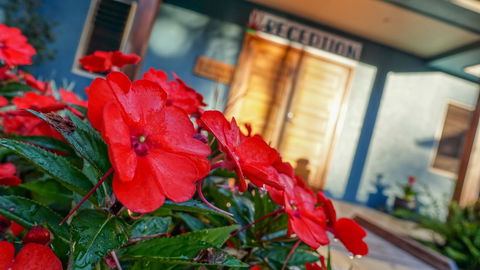Blue Summit Hideaway - Kempsey Accommodation 1