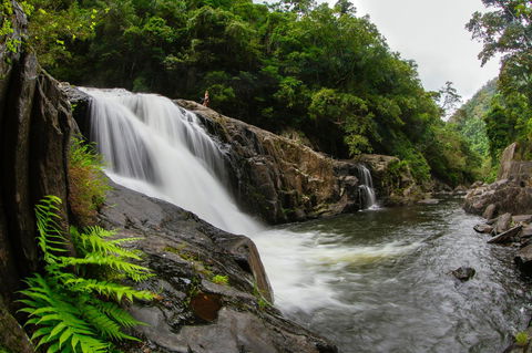 Coral Tree Inn - Kempsey Accommodation 40