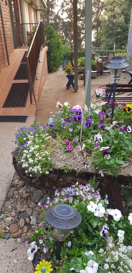 Manitzky Magic -B&B Home With Heart - Kempsey Accommodation 8