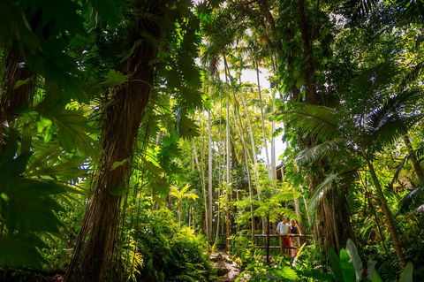 Cairns Colonial Club Resort - Kempsey Accommodation 22
