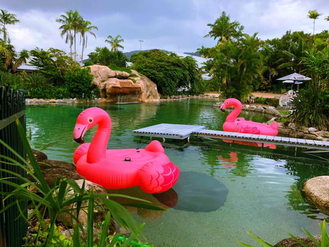 Cairns Colonial Club Resort - Kempsey Accommodation 6