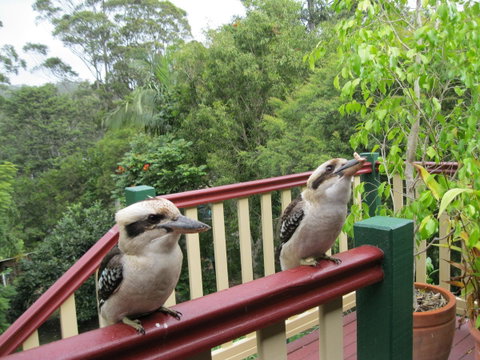 Shasta Place - Kempsey Accommodation 12
