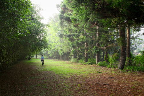 Sharlynn By The River - Kempsey Accommodation 22